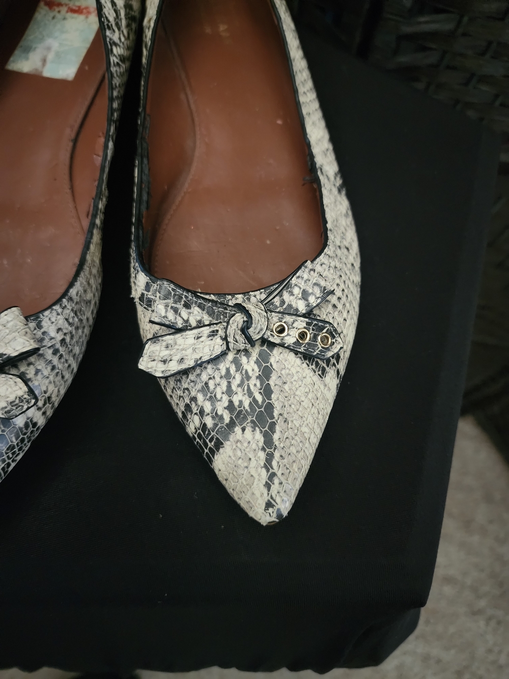 Cole Haan Pointed Snake-Print Ballet Flats in Black and Cream.  (B1)